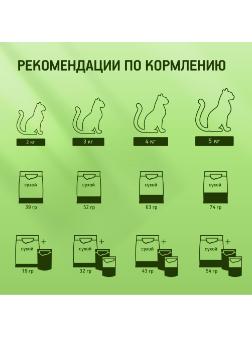Корм сухой Kitekat для кошек телятинка аппетитная, 1.3кг