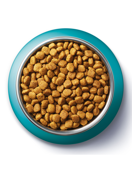 Корм сухой Purina One для взрослых кошек при чувствительном пищеварении с индейкой и рисом, 750г x 8 шт