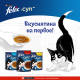 Корм влажный Felix Суп для взрослых кошек с курицей, 48г
