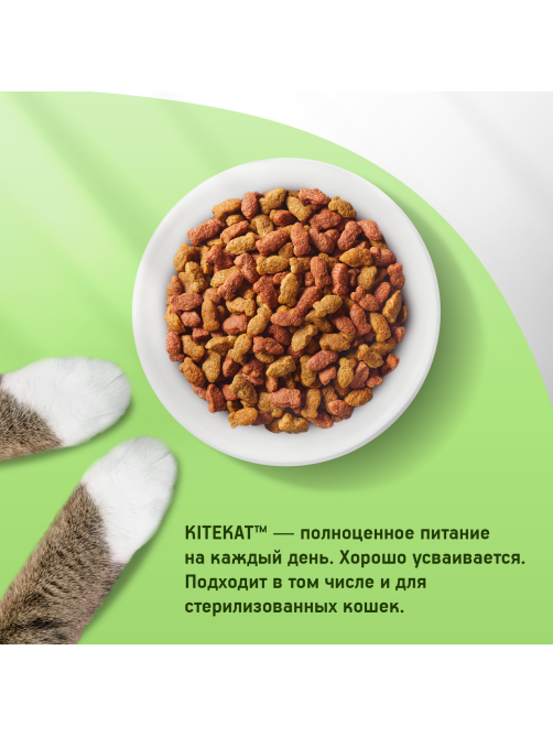 Корм сухой Kitekat Улов рыбака для кошек, 1.3кг