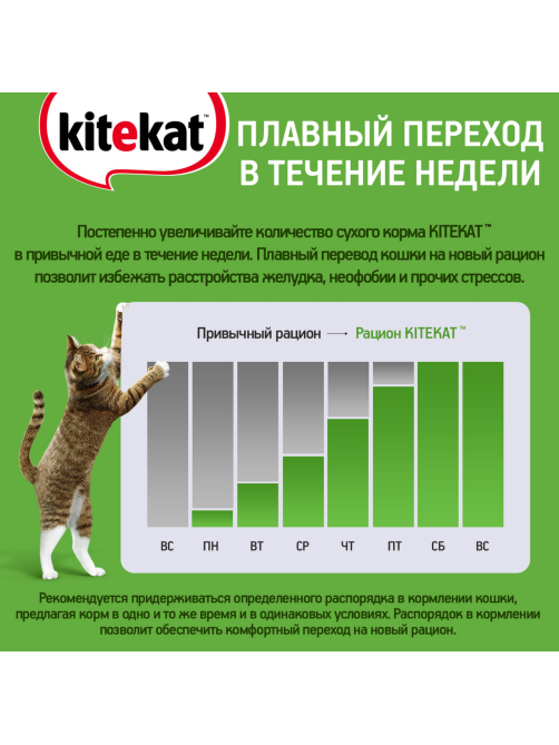 Корм влажный Kitekat для взрослых кошек с рыбой в соусе, 85г x 28 шт