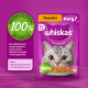 Корм влажный Whiskas для кошек индейка рагу, 75г