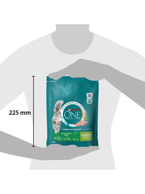 Корм сухой Purina One для взрослых кошек живущих в домашних условиях с индейкой и цельными злаками, 200г