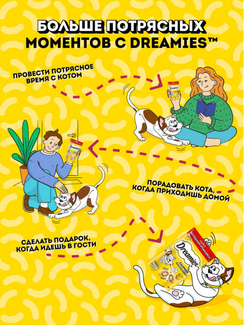 Лакомство Dreamies Лакомые подушечки для взрослых кошек с сыром, 140г
