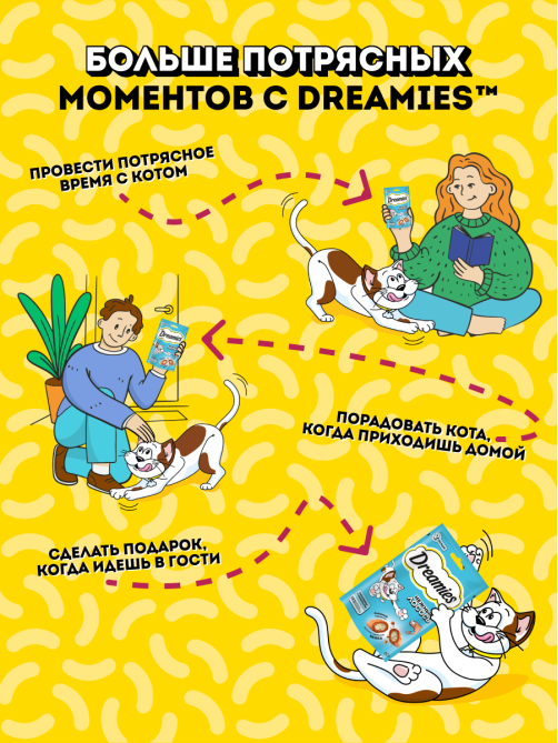 Лакомство Dreamies Лакомые подушечки для взрослых кошек с лососем, 60г