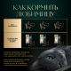 Корм влажный Sheba для кошек Ломтики в соусе с лососем, 75г