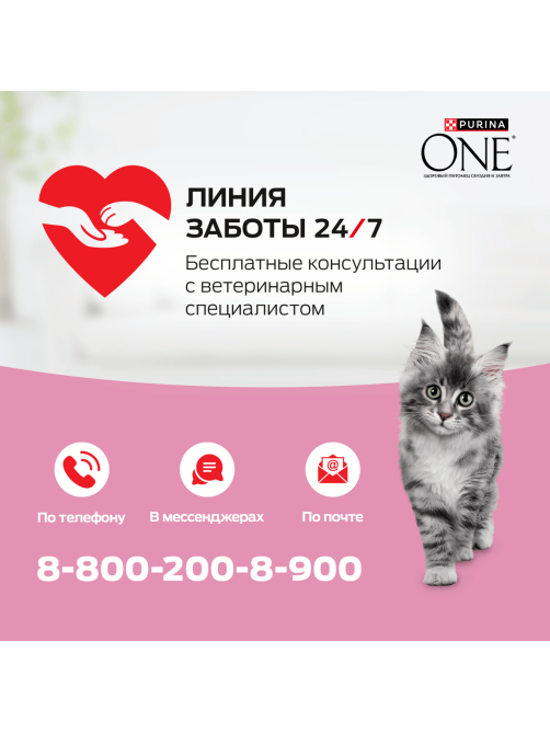 Корм влажный Purina One для котят с курицей и морковью, 75г