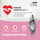 Корм влажный Purina One для котят с курицей и морковью, 75г
