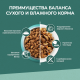Корм сухой Purina One Природа Здоровья для взрослых кошек со спирулиной с высоким содержанием курицы, 680г
