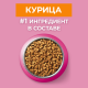 Корм сухой Purina One для котят с курицей и цельными злаками, 750г х 8 шт