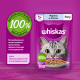 Корм влажный Whiskas рагу для взрослых кошек с форелью и лососем, 75г