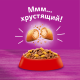 Корм сухой Whiskas Вкусные подушечки для стерилизованных кошек с говядиной, 350г