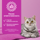 Корм влажный Whiskas для кошек говядина-язык-овощи рагу, 75г