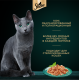 Корм влажный Sheba для кошек кролик-индейка, 75г