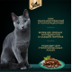 Корм влажный Sheba для кошек Ломтики в соусе с телятиной и языком, 75г