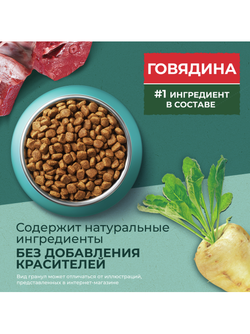 Корм сухой Purina One Природа Здоровья для стерилизованных кошек и кастрированных котов с говядиной, 680г