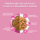 Корм влажный Purina One для котят с курицей и морковью, 75г