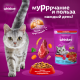 Корм сухой Whiskas Вкусные подушечки для стерилизованных кошек с говядиной, 350г