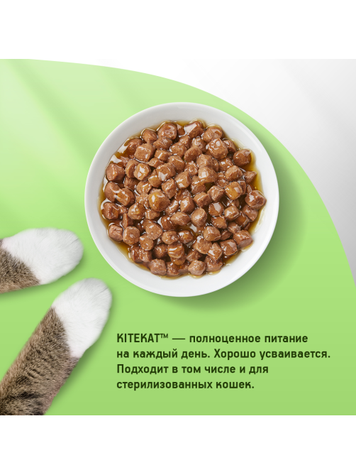 Корм влажный Kitekat для взрослых кошек с рыбой в соусе, 85г