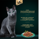Корм влажный Sheba для кошек Ломтики в соусе с уткой, 75г