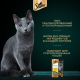Корм влажный Sheba Nature's Collection для кошек с курицей и паприкой, 75г