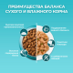 Корм влажный Purina One для кошек при чувствительном пищеварении с курицей и морковью, 75г