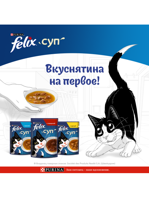 Корм влажный Felix Суп для взрослых кошек с курицей в соусе, 48г x 36 шт
