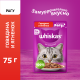 Корм влажный Whiskas рагу для взрослых кошек с говядиной и ягненком, 75г