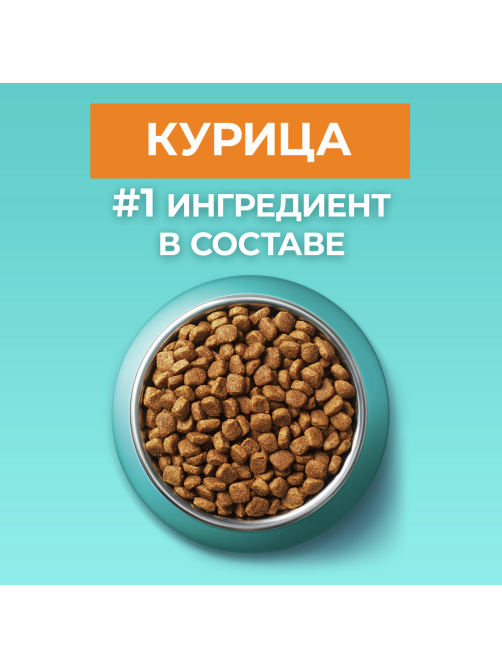 Корм сухой Purina One для стерилизованных домашних кошек с высоким содержанием курицы, 3кг