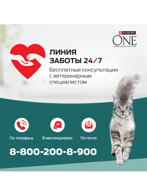 Корм сухой Purina One Природа Здоровья для взрослых кошек со спирулиной с высоким содержанием курицы, 680г