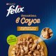 Корм влажный Felix Sensations для взрослых кошек с индейкой в соусе со вкусом бекона, 75г