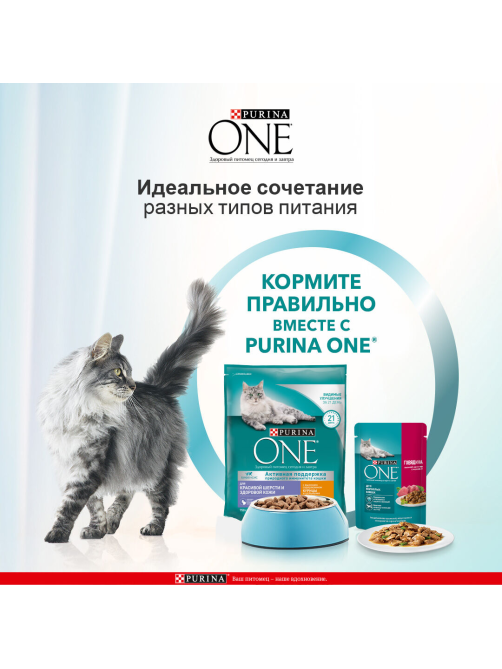 Корм сухой Purina One для взрослых кошек для здоровья кожи и шерсти с курицей и цельными злаками, 750г x 8 шт