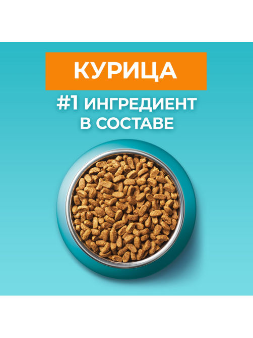 Корм сухой Purina One для взрослых кошек с курицей, 9.75кг