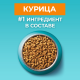 Корм сухой Purina One для взрослых кошек с курицей, 9.75кг