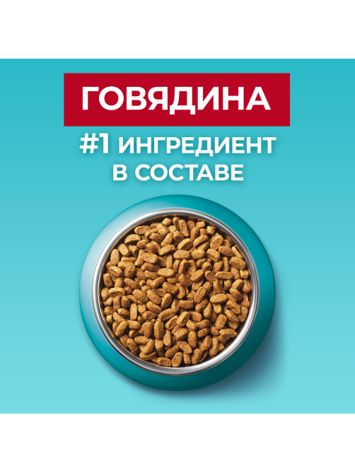 Корм сухой Purina One для стерилизованных кошек и кастрированных котов с говядиной и пшеницей, 750г x 8 шт