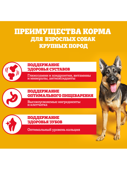 Корм сухой Pedigree для взрослых собак крупных пород с говядиной, 13кг