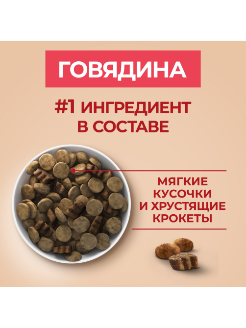 Корм сухой Purina One для взрослых собак средних и крупных пород с говядиной и рисом, 10кг