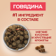 Корм сухой Purina One для взрослых собак средних и крупных пород с говядиной и рисом, 10кг