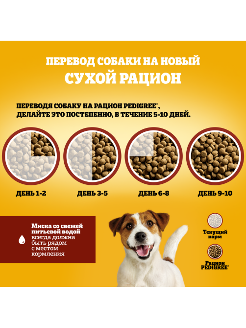 Корм сухой Pedigree для взрослых собак мелких пород с говядиной, 13кг