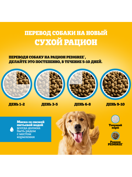 Корм сухой Pedigree для всех пород собак с говядиной, 2кг