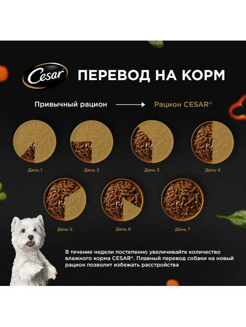 Корм влажный Cesar для собак говядина-сладкий перец-шпинат, 80г