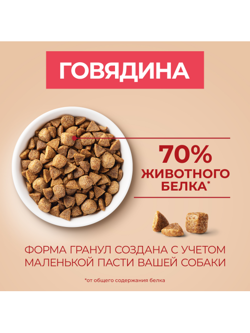 Корм сухой Purina One для взрослых собак мелких и карликовых пород с говядиной и рисом, 1.5кг