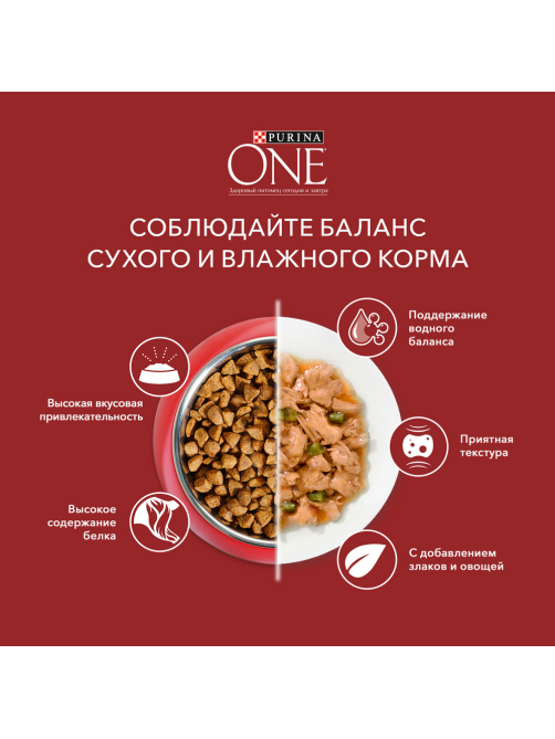 Корм влажный Purina One Мини для взрослых собак мелких пород с низкой активностью с индейкой и морковью в подливе, 85г
