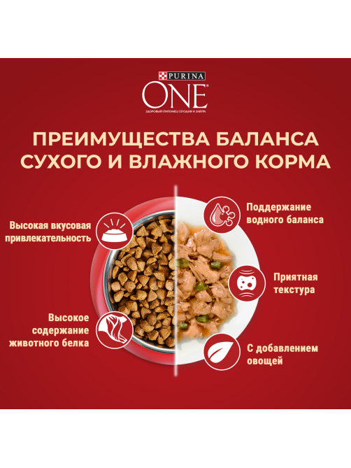 Корм сухой Purina One Мини для собак мелких пород с курицей и рисом 1.5кг