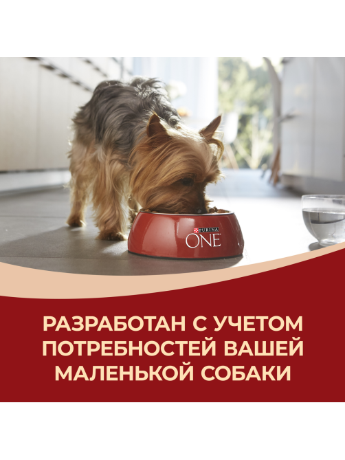 Корм сухой Purina One для взрослых собак мелких и карликовых пород с говядиной и рисом, 1.5кг