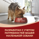 Корм сухой Purina One для взрослых собак мелких и карликовых пород с говядиной и рисом, 1.5кг