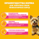 Корм влажный Pedigree паштет для собак миниатюрных пород с говядиной, 80г