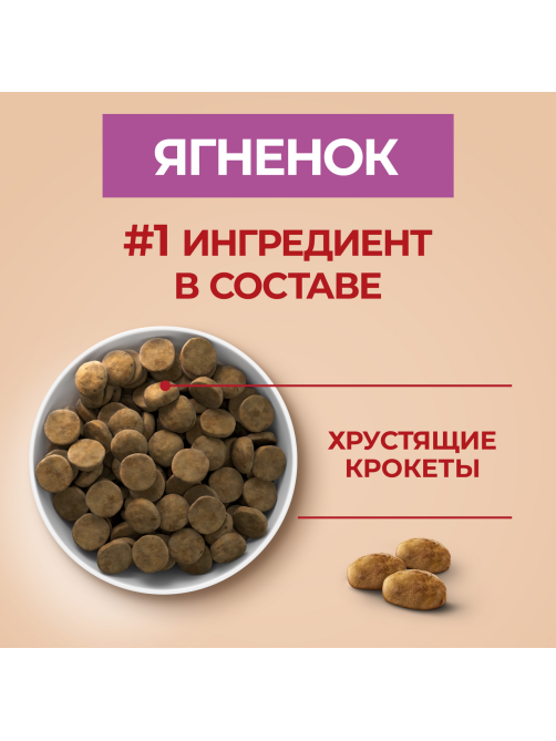 Корм сухой Purina One для взрослых собак средних и крупных пород с ягненком и рисом, 10кг