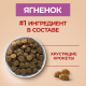 Корм сухой Purina One для взрослых собак средних и крупных пород с ягненком и рисом, 10кг