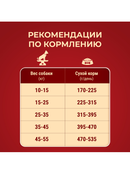 Корм сухой Purina One для взрослых собак средних и крупных пород с ягненком и рисом, 10кг